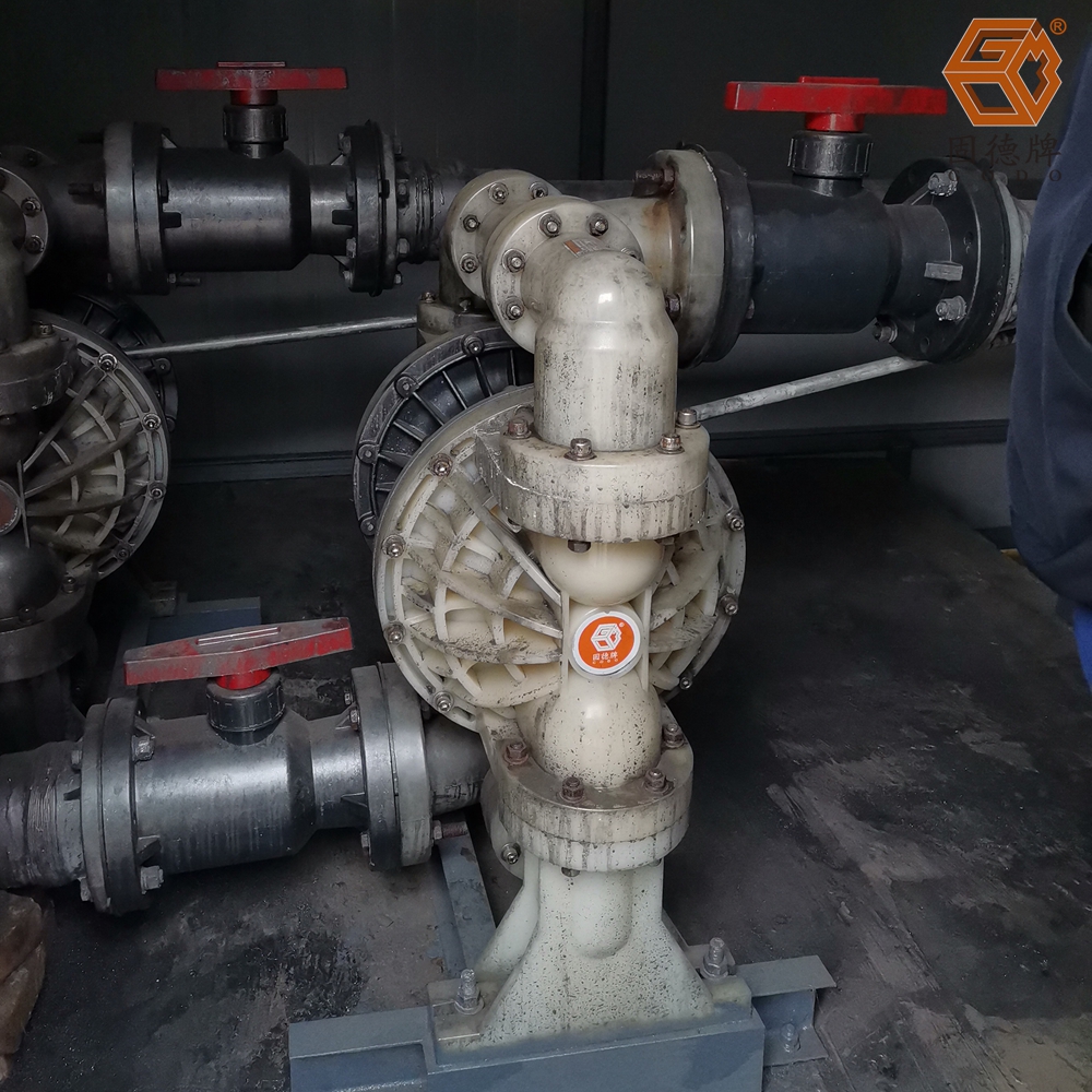 1711678011-9213.jpg 1711678011-9213.jpg