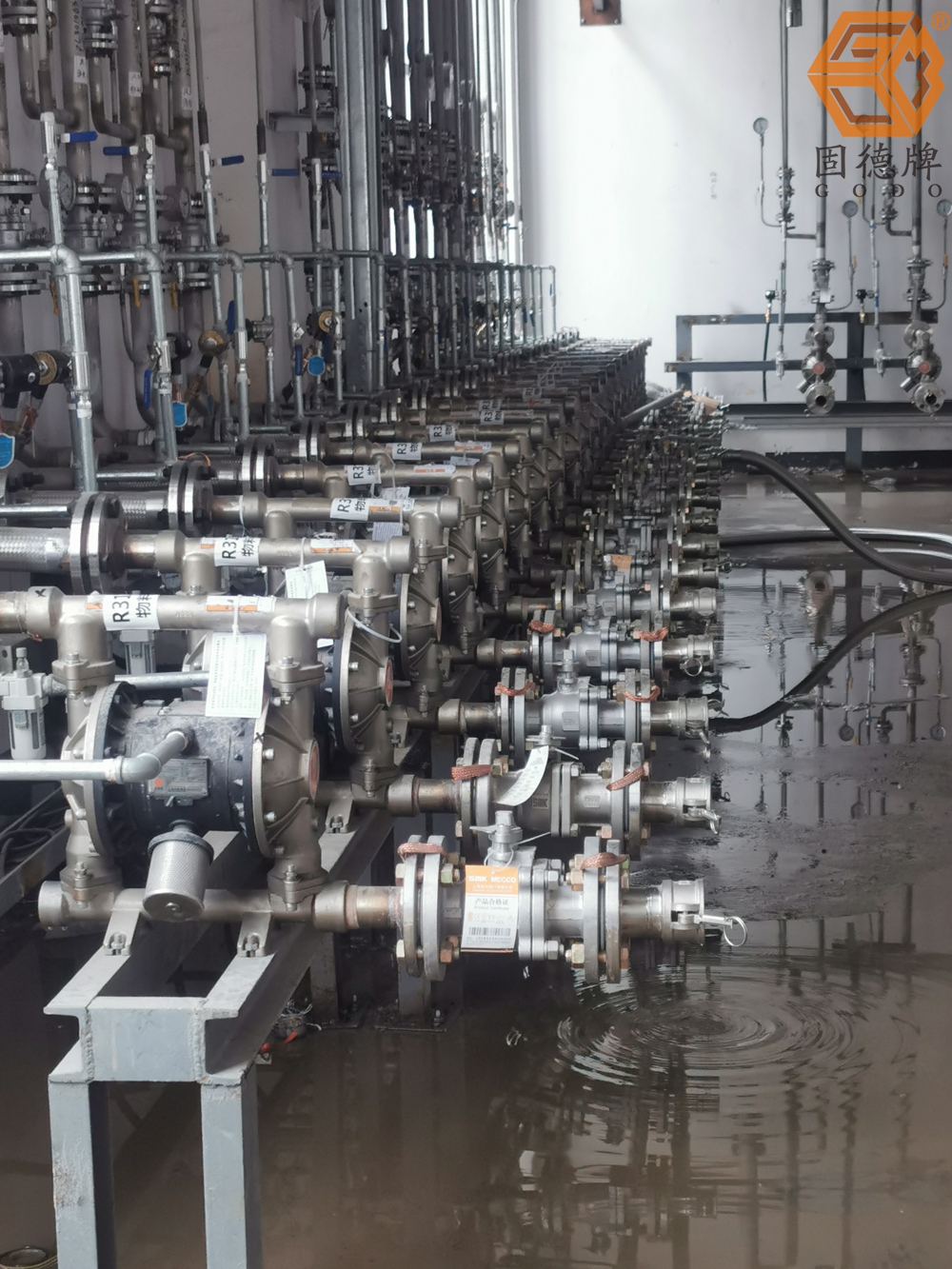 1715906647-1211.jpg 1715906647-1211.jpg