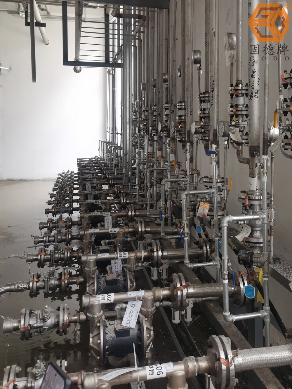 1715906896-2584.jpg 1715906896-2584.jpg