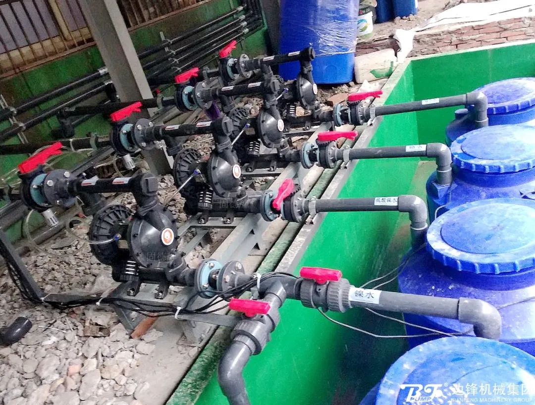 1718069064-9829.jpg 1718069064-9829.jpg