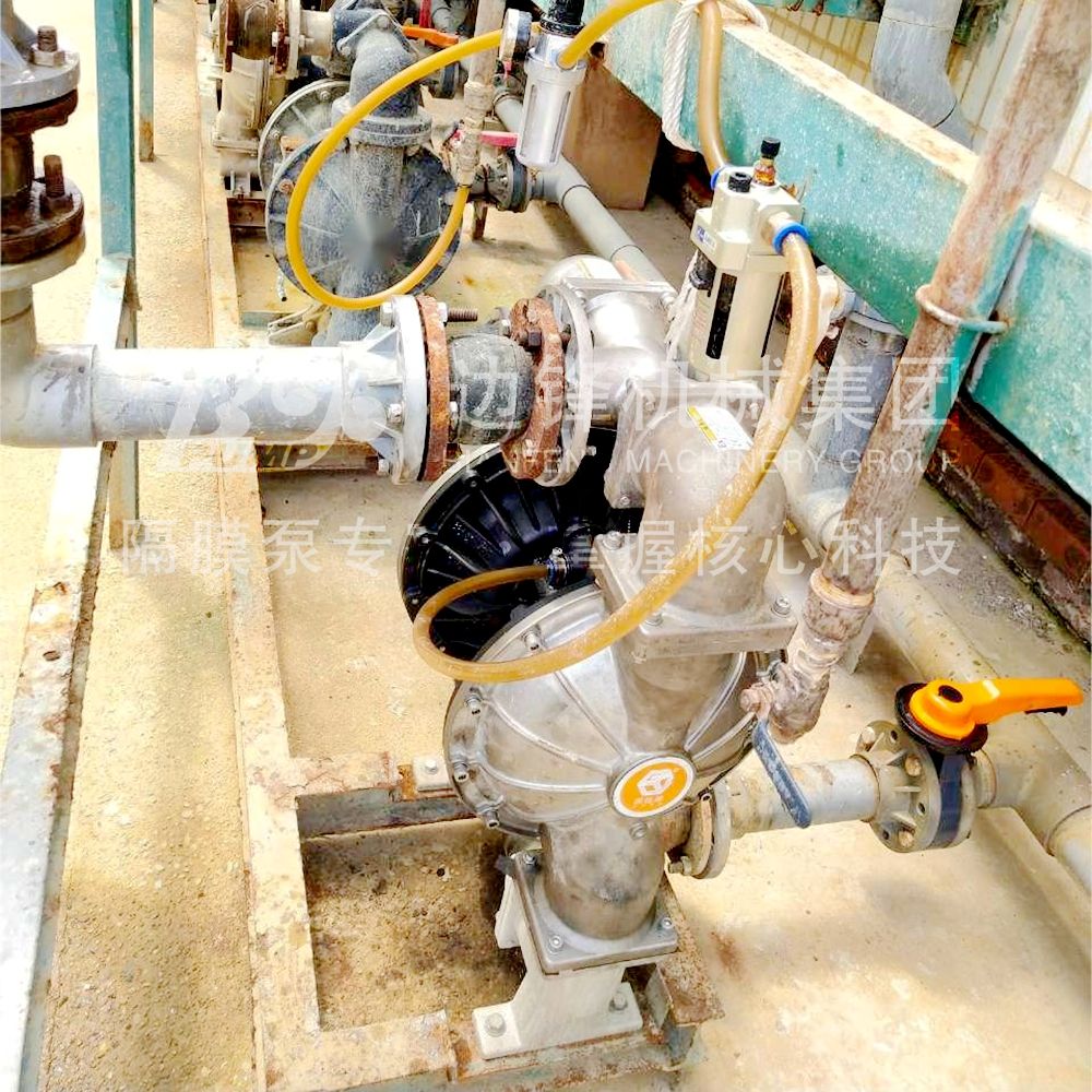 1718759644-8386.jpg 1718759644-8386.jpg