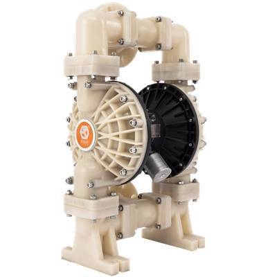 1719280076-1928.jpg 1719280076-1928.jpg