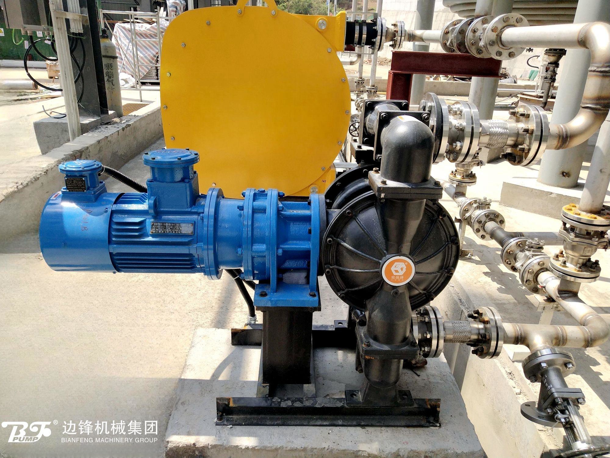 1720663039-4720.jpg 1720663039-4720.jpg