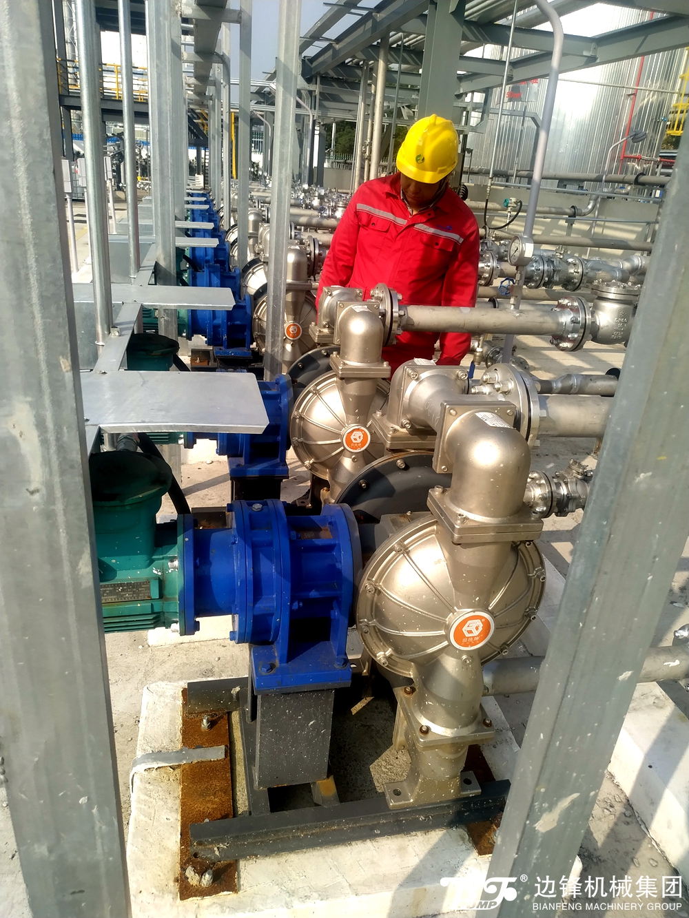 1721783797-4033.jpg 1721783797-4033.jpg