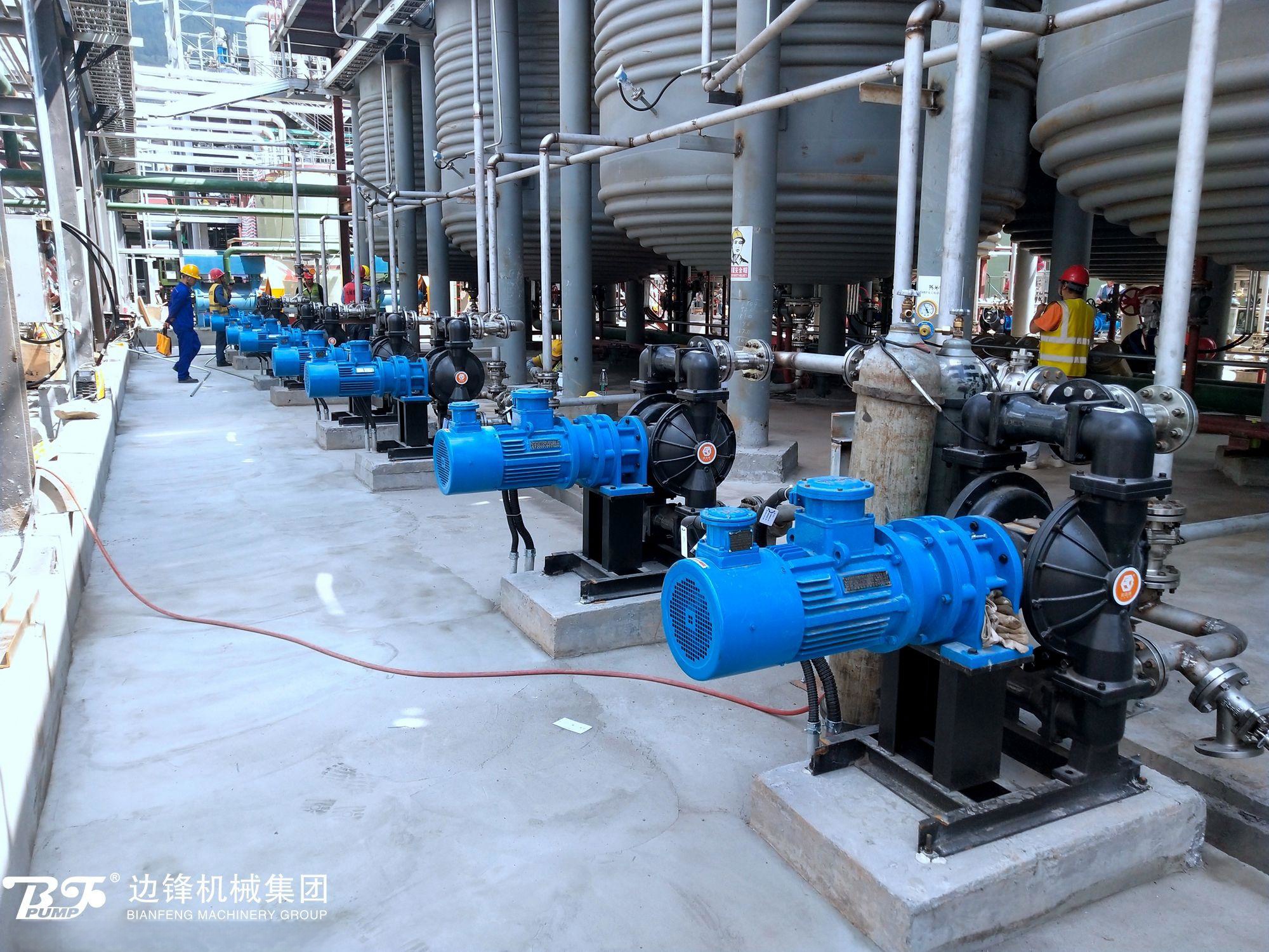 1721956788-3989.jpg 1721956788-3989.jpg