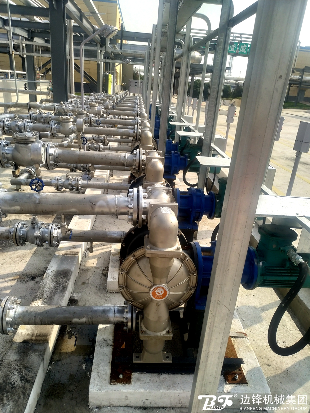 1724895442-2980.jpg 1724895442-2980.jpg