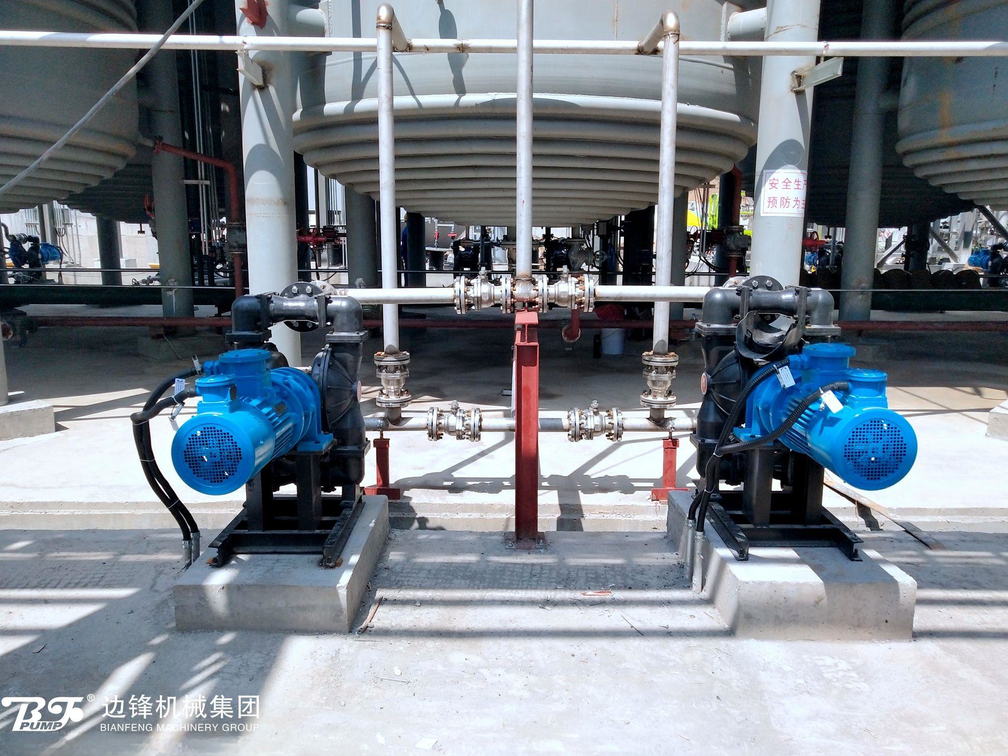 1725242246-7140.jpg 1725242246-7140.jpg