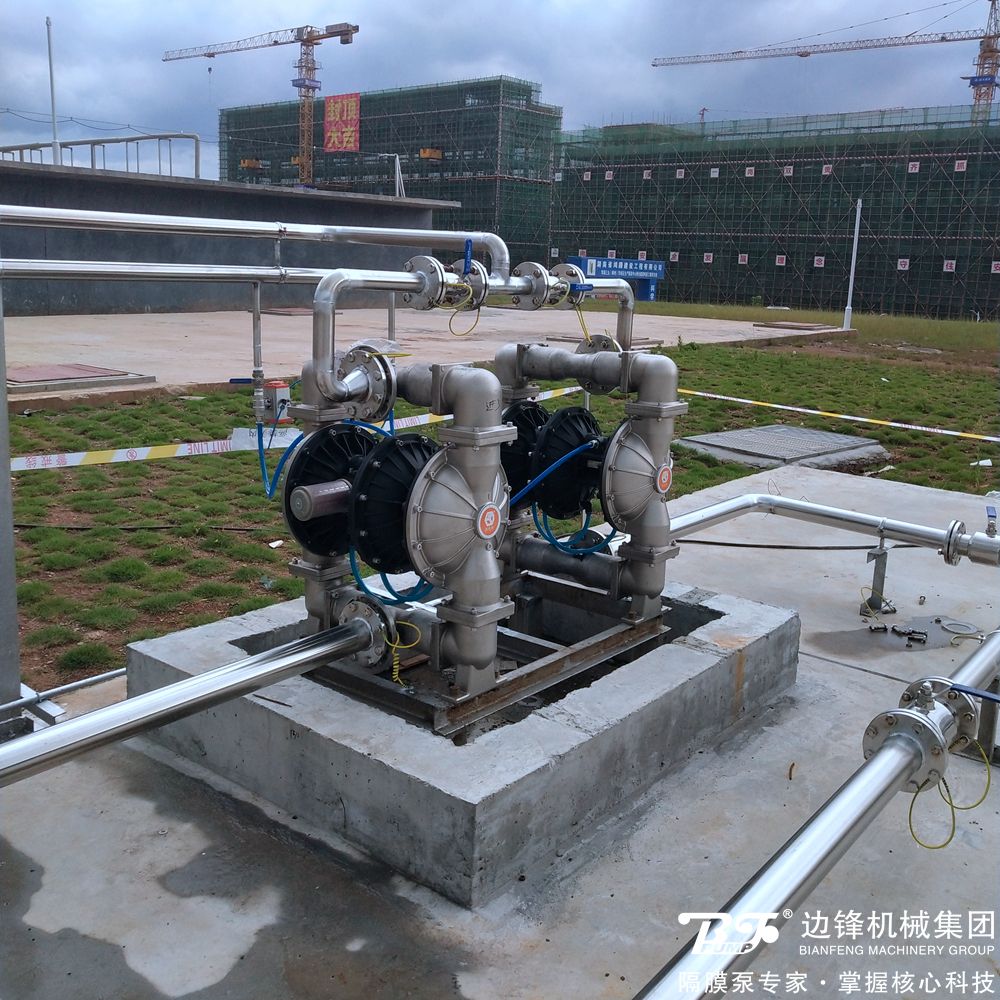 1725584986-2047.jpg 1725584986-2047.jpg