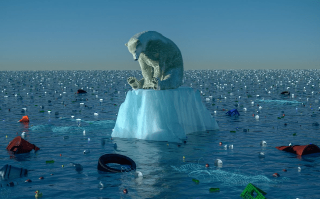 1726104906-3719.png 1726104906-3719.png