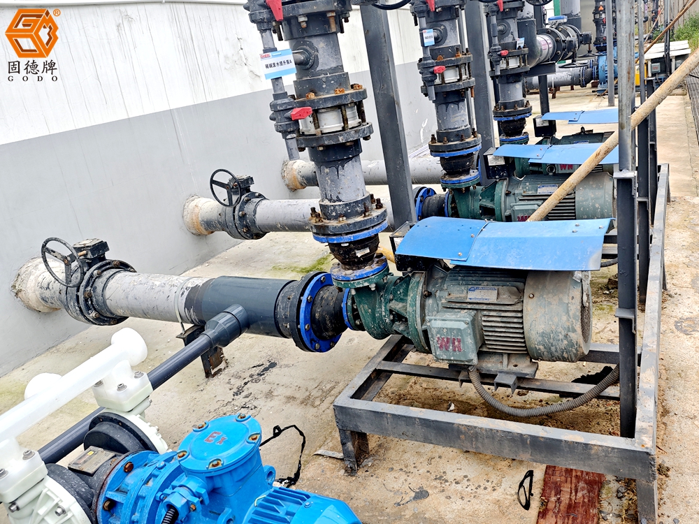 1728374803-5850.jpg 1728374803-5850.jpg