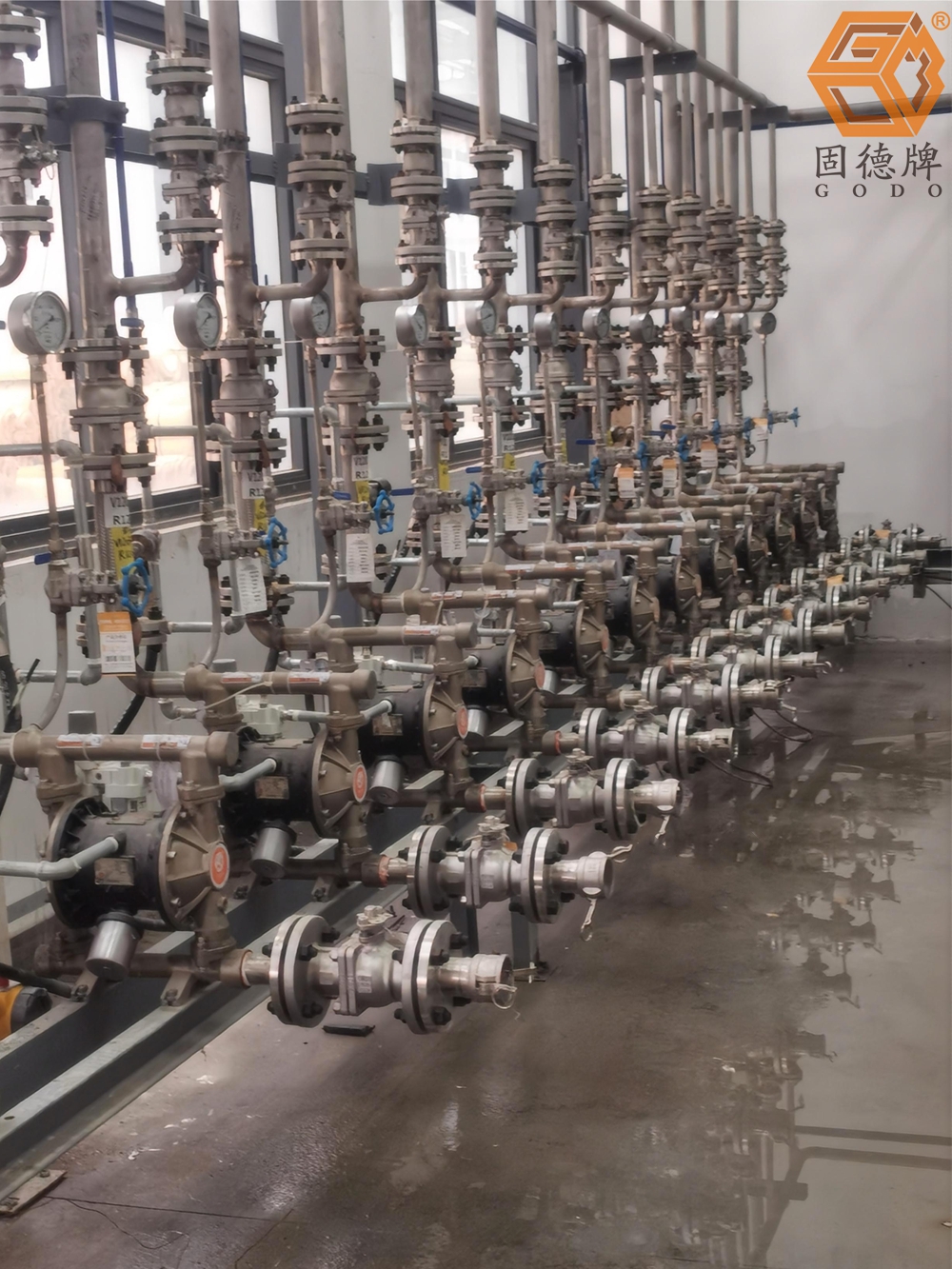 IMG_20240403_140014 IMG_20240403_140014